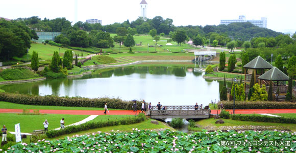 今年から秋開催に！「第9回 大府東浦花火大会」あいち健康の森公園で11 1 土 開催-記事-ちたまるNavi知多半島情報ポータル