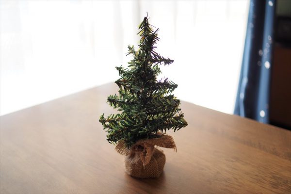 今年はどうする？ダイソーツリーディスプレイ今年もやってきました ダイソーのタペストリーツリー🎄 去年はマジックテープで色々ディスプレイしたけど 今年は安全ピンとメッシュケースを 使ってみましたよ🥰 イルミネーションもダイソーで 買えるけどタペストリーに