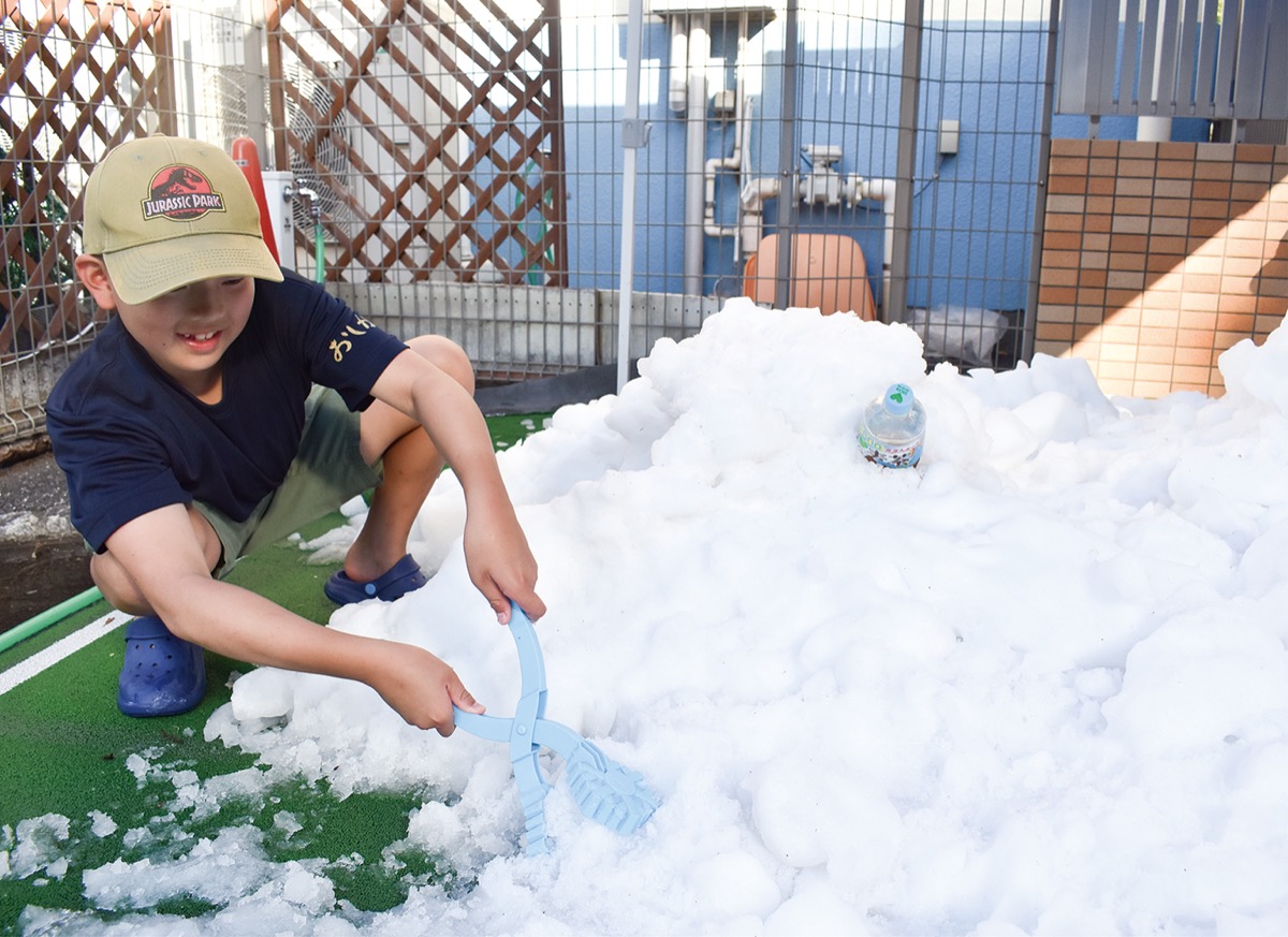 反町公園のアツイ夏 - Fillmore Trip Cafe News