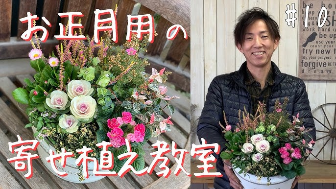 お正月門松風 多肉植物の寄せ植え｣ワークショップを開催しました！-グリーンプロデュース～暮らしに緑を～グリーン雑貨 専門店のポータルサイト