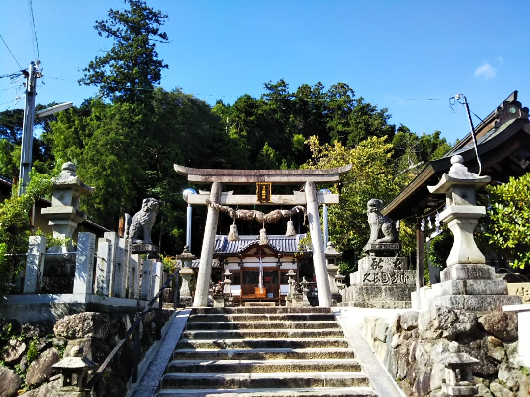 松本市の中央に鎮座するパワースポット「四柱神社 よはしらじんじゃ 」＠長野県 – Web-Komachi