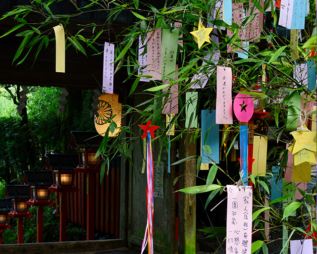 七夕の笹飾りはいつまで飾る？大湯石材店 弘前本店
