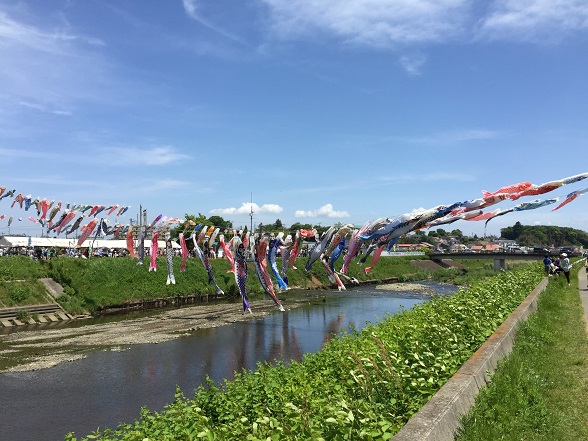 第17回の 鈴川鯉のぼりまつり。 - 久保田さとし クボタサトシ選挙ドットコム