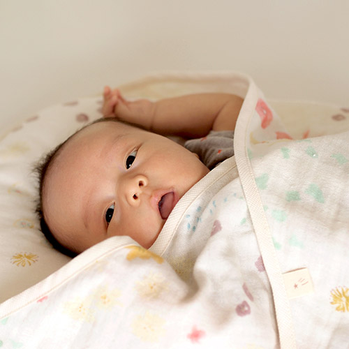 おひなまきの巻き方は？いつまでできる？ - こそだてハック