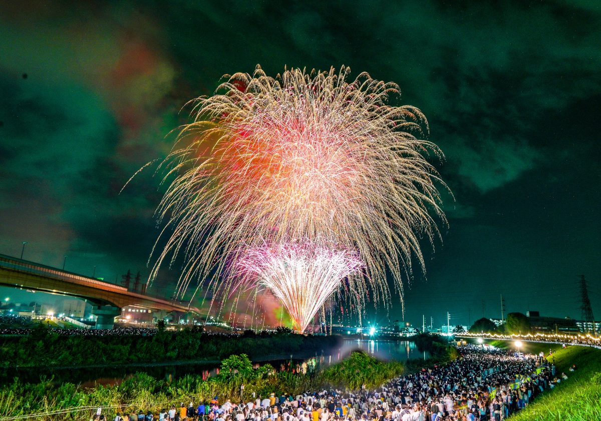 なら瑠璃絵20173 奈良公園バースデー花火を大阪府箕面市から遠望 : jp3pzd's photo diary