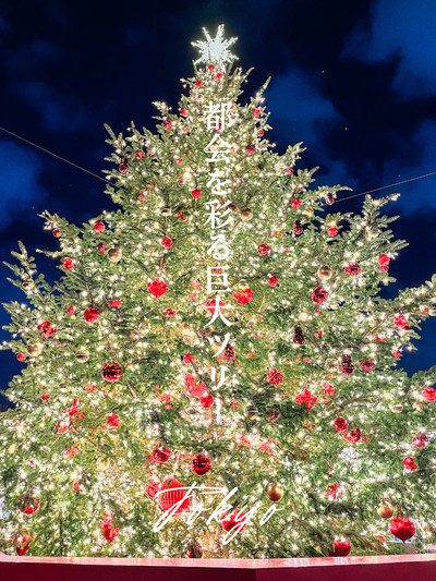 恵比寿ガーデンプレイスのクリスマスツリー by watayu0821ID：6213246- 写真共有サイト:PHOTOHITO