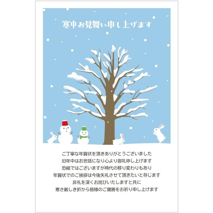 寒中見舞いで年賀状じまいはできる！文例や伝え方のポイントを解説カメラのキタムラ年賀状2025巳年