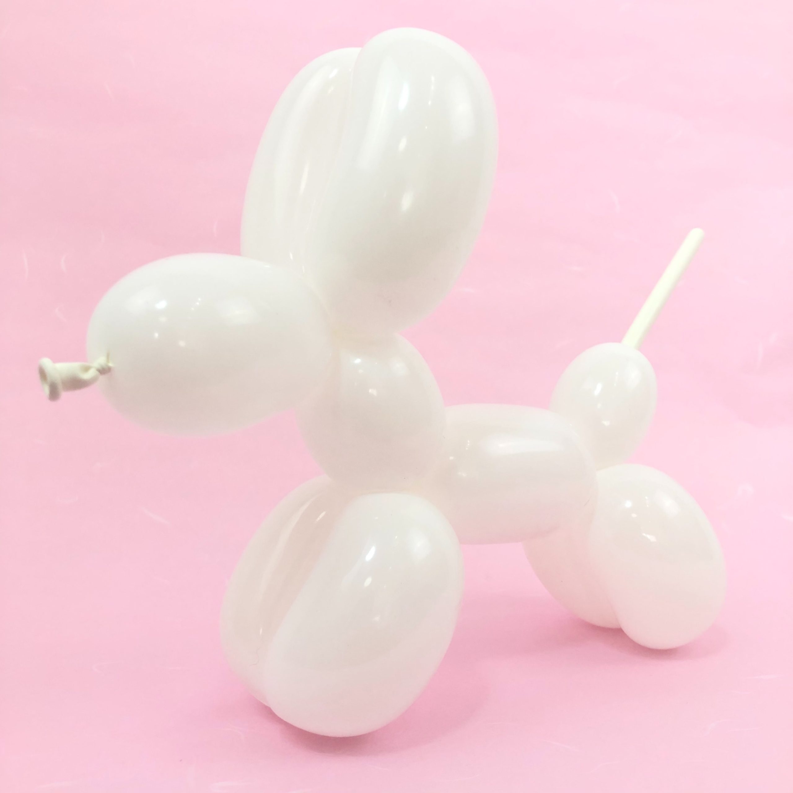 Flower - How to Make Balloon Animals3バルーンアートの作り方3花