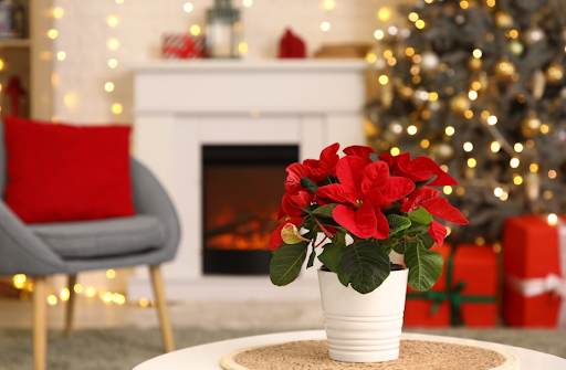 Amazon.co.jp: Lanito クリスマスツリー 飾り フェンス クリスマスツリーフェンス 花壇フェンス ガーデンフェンス 10枚セット 柵ミニフェンス PVC 連結式 設置簡単 土留め 根止め DIY庭造り 造園 取り外し可能 屋外 屋内 園芸用A クリスマスツリー 10*25cm: DIY