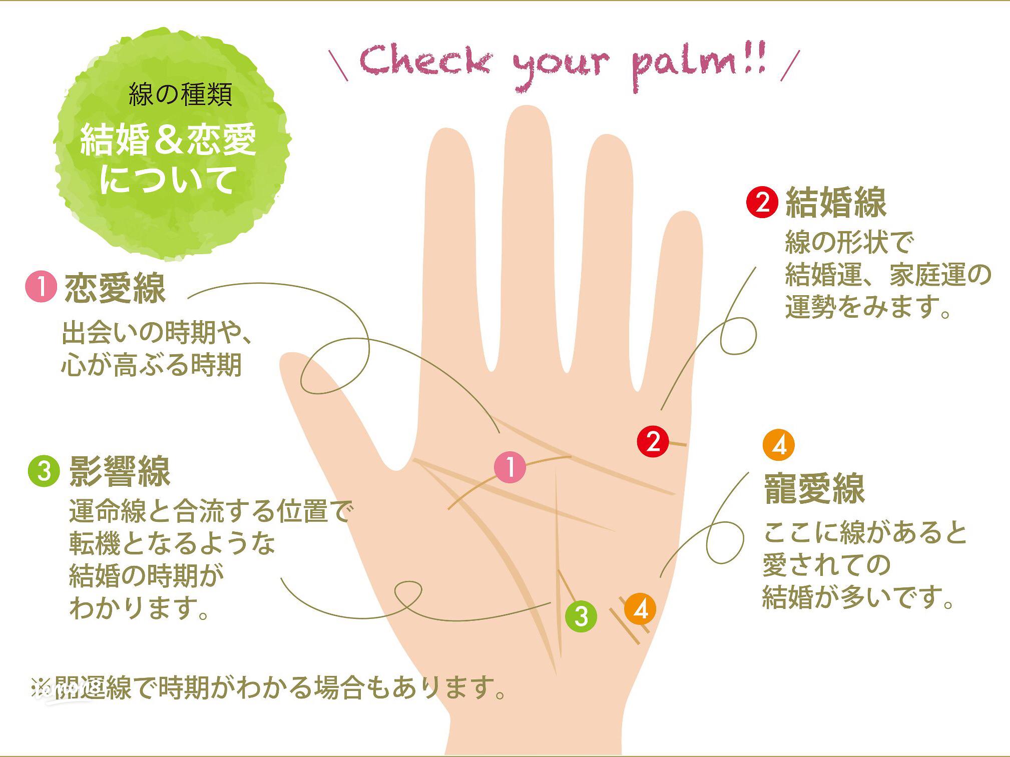 手相占い 寵愛線は結婚の開運に関係がある！周りから愛される運勢の手相無料占い Picora
