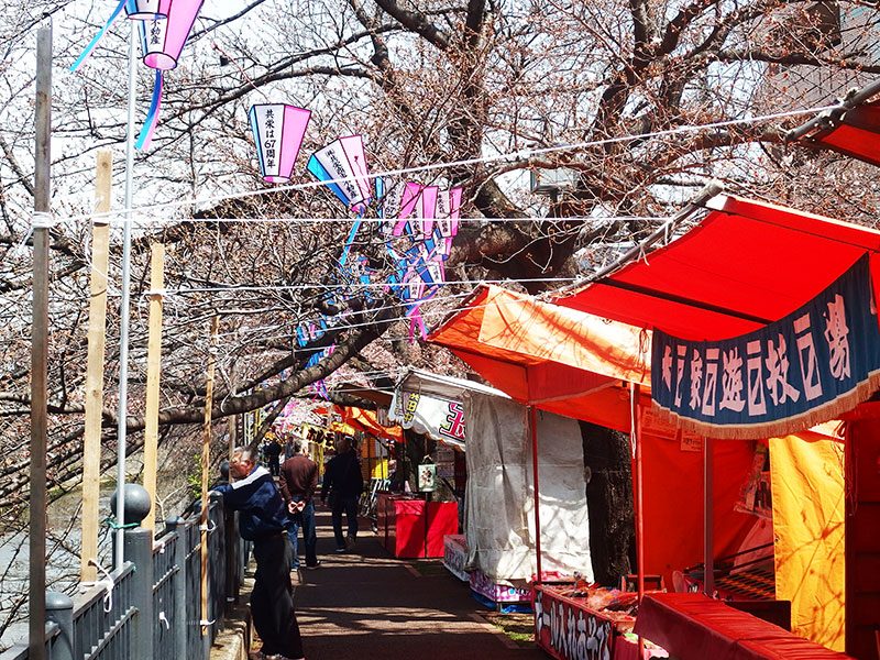 大岡川桜祭り2025 ☆屋台のご家族に見守られながら、、、☆新・やんちゃなジンとおてんばチコ
