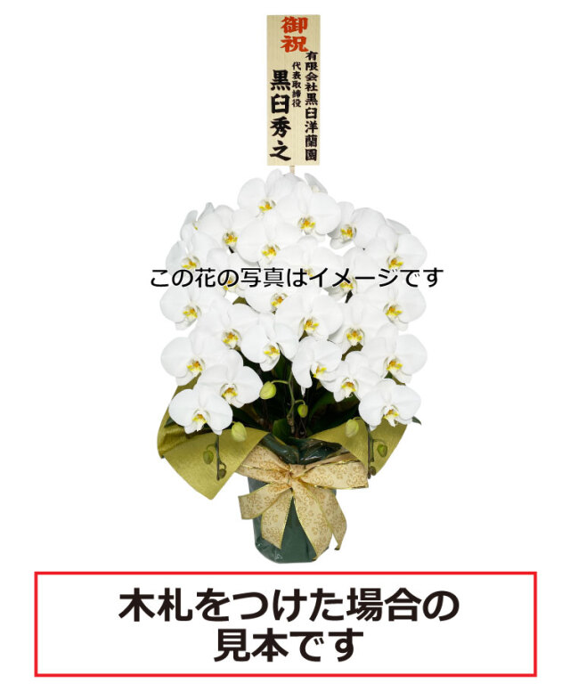 何色だっけ？長寿祝いの種類とテーマ色一覧表 還暦～大還暦まで- 還暦プレゼント還暦祝い専門店「六〇屋」