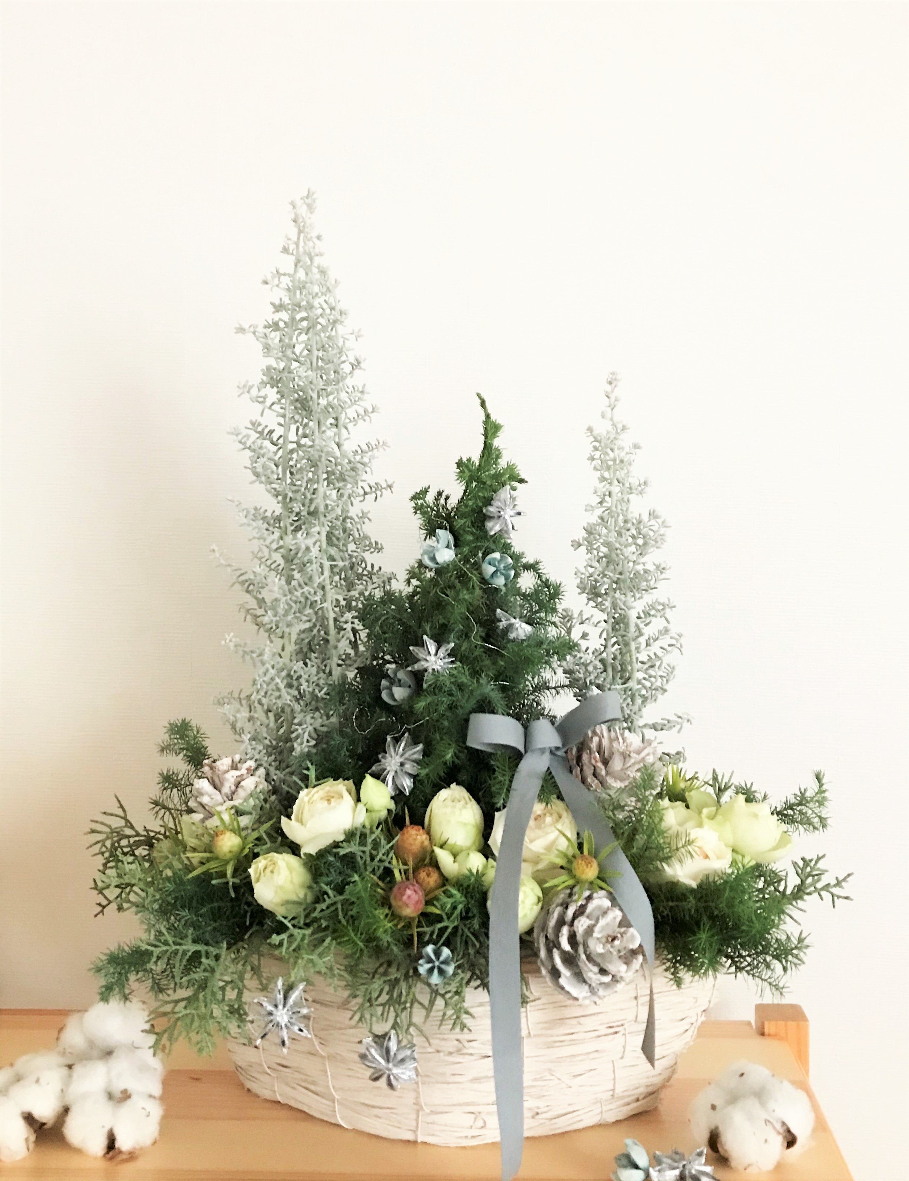 クリスマスツリーをフラワーアレンジで作る_クジャクヒバでツリー型のアレンジに挑戦
