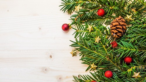 11月のお手軽工作「まつぼっくりツリーをつくろう」11月12日 土タカミヤ環境ミュージアム