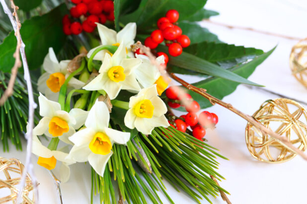 なぜお正月に赤い実の千両、万両、南天が使われるのかその理由と見分け方とは – 手作り雑貨のセレクトショップ明石Kaen