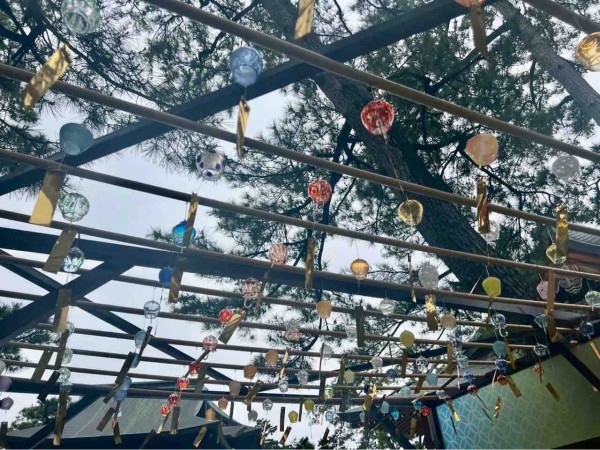 感染者急増につき屋台の出店を取りやめます。 風鈴も規模縮小致します。 ７月１８日 月 まで白山神社夏まつり ということで、ぽっぽ焼きやりんご飴を始め、様々な屋台が出るとご案内しておりました。 感染症対策として 屋台の飲食物はテイクアウト限定とし、 飛沫感染