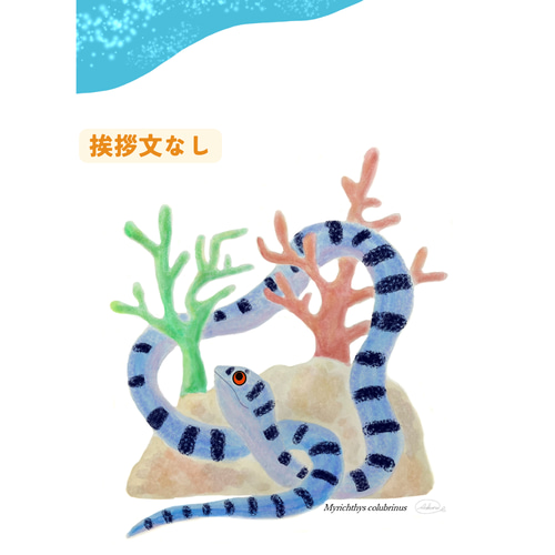 2025年巳 へび 年 正月 福 白いへび 巳 イラスト 無料無料ペットイラスト Pet-illust 犬・猫・鳥・ペットイラスト ぬりえ・年賀状・カレンダーイラスト多数無料