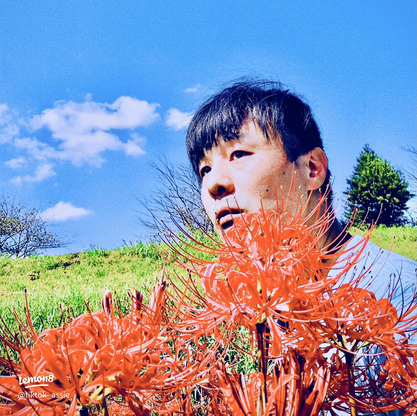 宮若市ヒガンバナまつりイベント公式 福岡県の観光 旅行情報サイト「クロスロードふくおか」