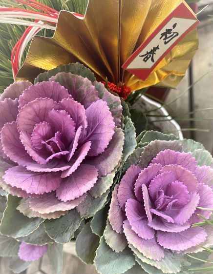 葉牡丹」がおめでたい花材として、門松やお正月のお花に使われる理由いけばな光風流 家元 内藤正風