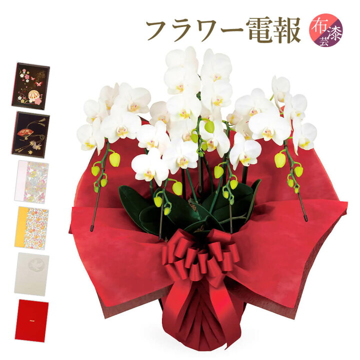 結婚式には花の祝電が人気！おしゃれなフラワー電報の選び方を紹介For-Denpoお役立ちメディア電報サービス『For-Denpo』