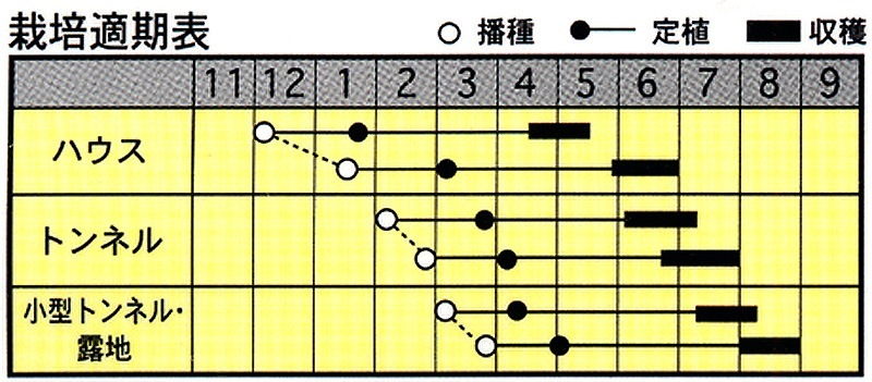 令和7年9月12日 金世界一の四尺玉を体感！片貝まつり花火大会 桟敷席チケット1名様分新潟県小千谷市片貝まつり花火大会 観覧チケット観覧 チケット 桟敷席 片貝まつり かたがい 祭り 新潟県 小千谷市0003-0001SV01-01- 新潟県小千谷市ふるさとチョイス