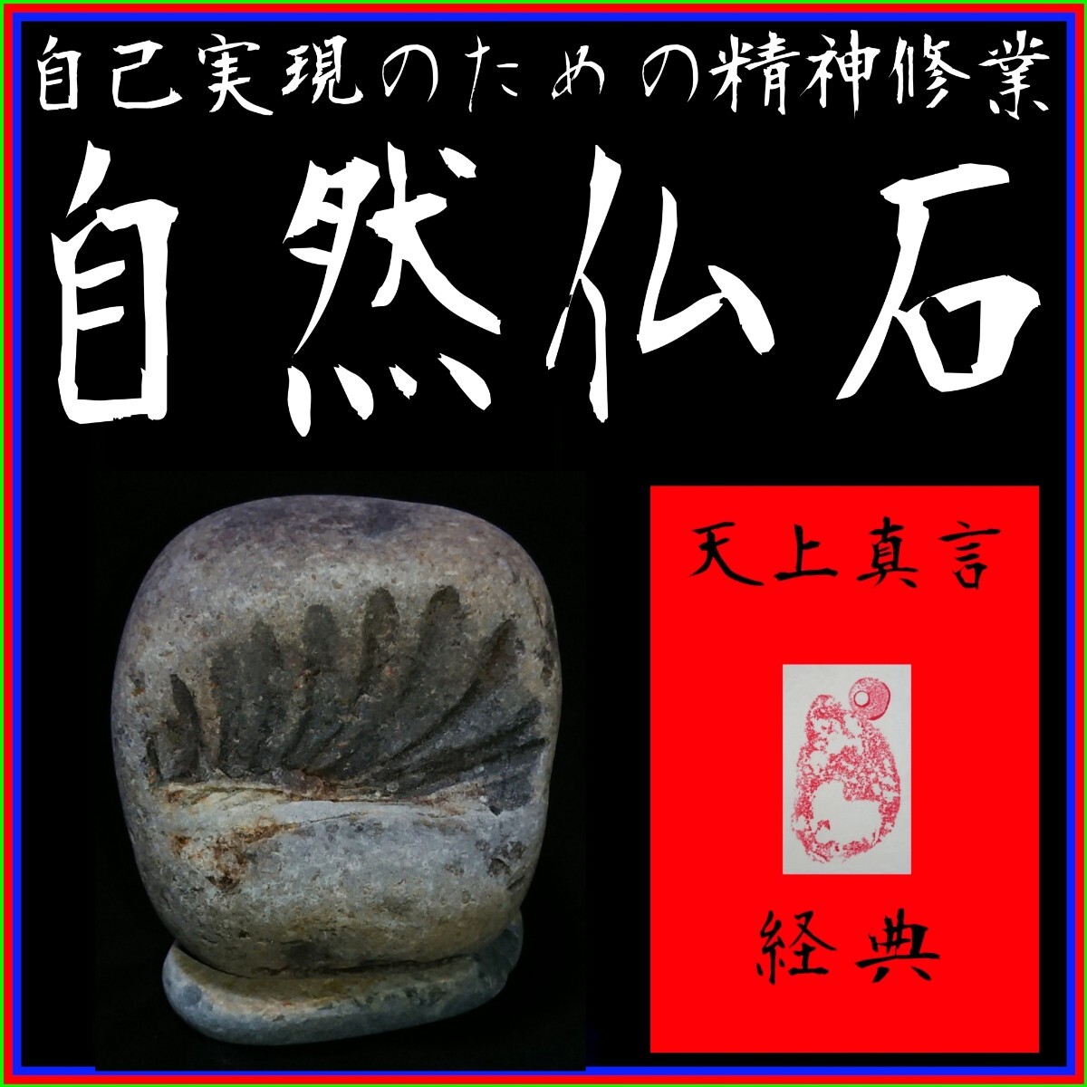 森崎ウィン「自分と同じミャンマー出身の役がありがたかった」荻上直子監督「この役は森崎さんしかいないと」奇想天外な物語の舞台裏『まる』 インタビューOVOオーヴォページ 2