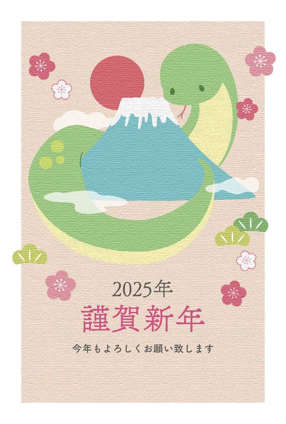 干支 巳年・蛇 ・かっこいい イラスト年賀状デザインKKN-001NTカメラのキタムラ年賀状