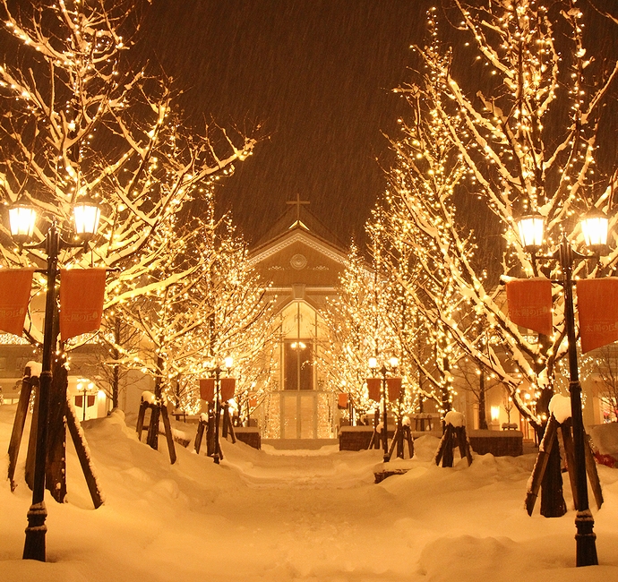 RS GLOBAL TRADE 120cm クリスマスツリー 木のおもちゃ カルテットドイツ・PLASTIFLOR社 RS GLOBAL