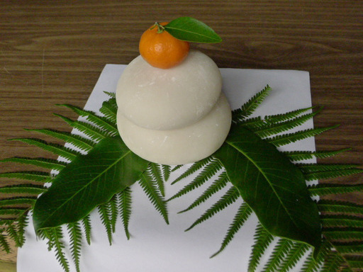 お正月飾りに使われるというユズリハってなに？どこに使われている？ - 正月飾りブログ