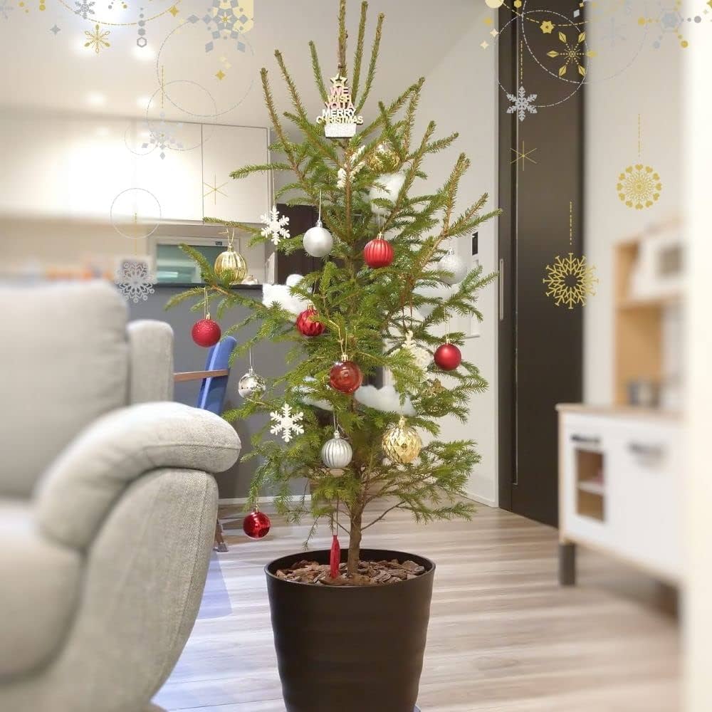 ドイツ製 もみの木 木製 ミニチュア クリスマス ドイツ 工房製 もみの木 クリスマスツリ