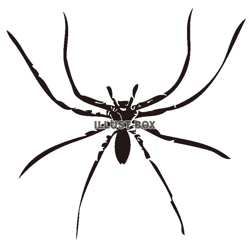 ハロウィン イラスト 蜘蛛の巣