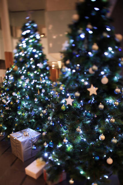 オーストラリアのクリスマスは一味違う！クリスマスの過ごし方 - Tripa トリパ 旅のプロがお届けする旅行に役立つ情報