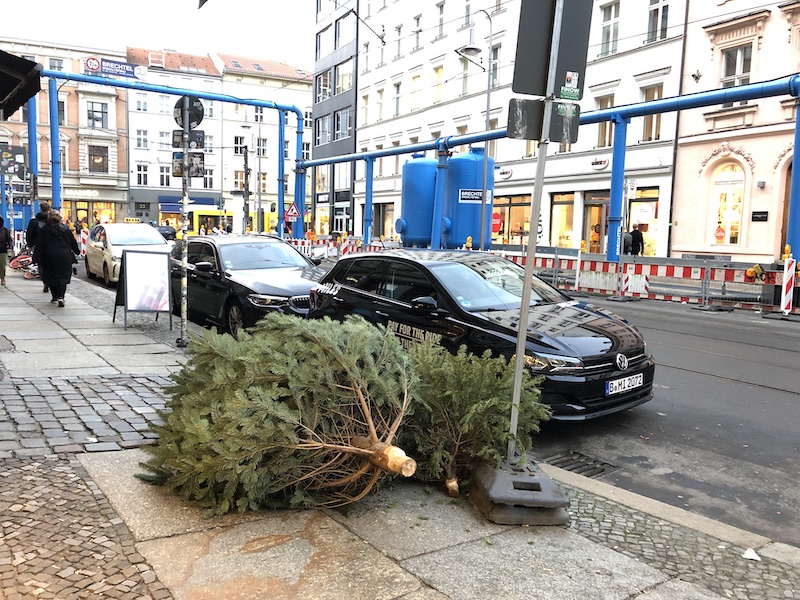 クリスマス後700万本の生木が廃棄 海外でも深刻な「ホリデーごみ問題」解消促す新サービスAMP アンプ- ビジネスインスピレーションメディア