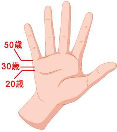 手を詠む: 運命線の切り替わり
