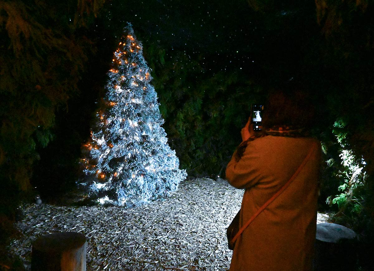 強羅花扇 ブログ箱根のイルミネーション