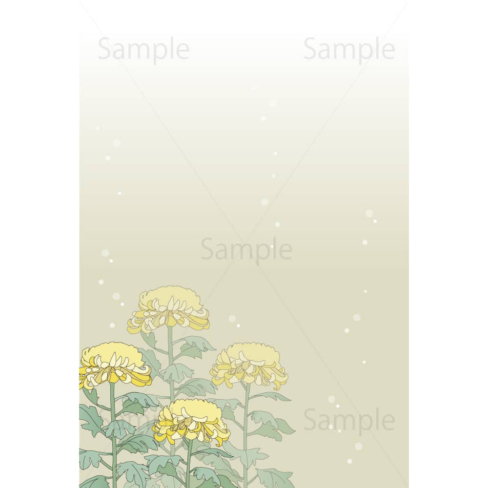 喪中はがき無料テンプレート 菊の花年賀状プリント決定版 2026