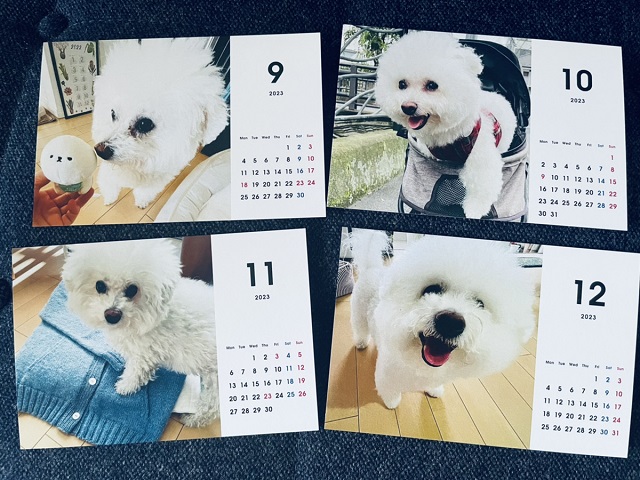 TOLOTのフォトアルバムに大満足！カレンダーも作りたい 。 - 生きる記録