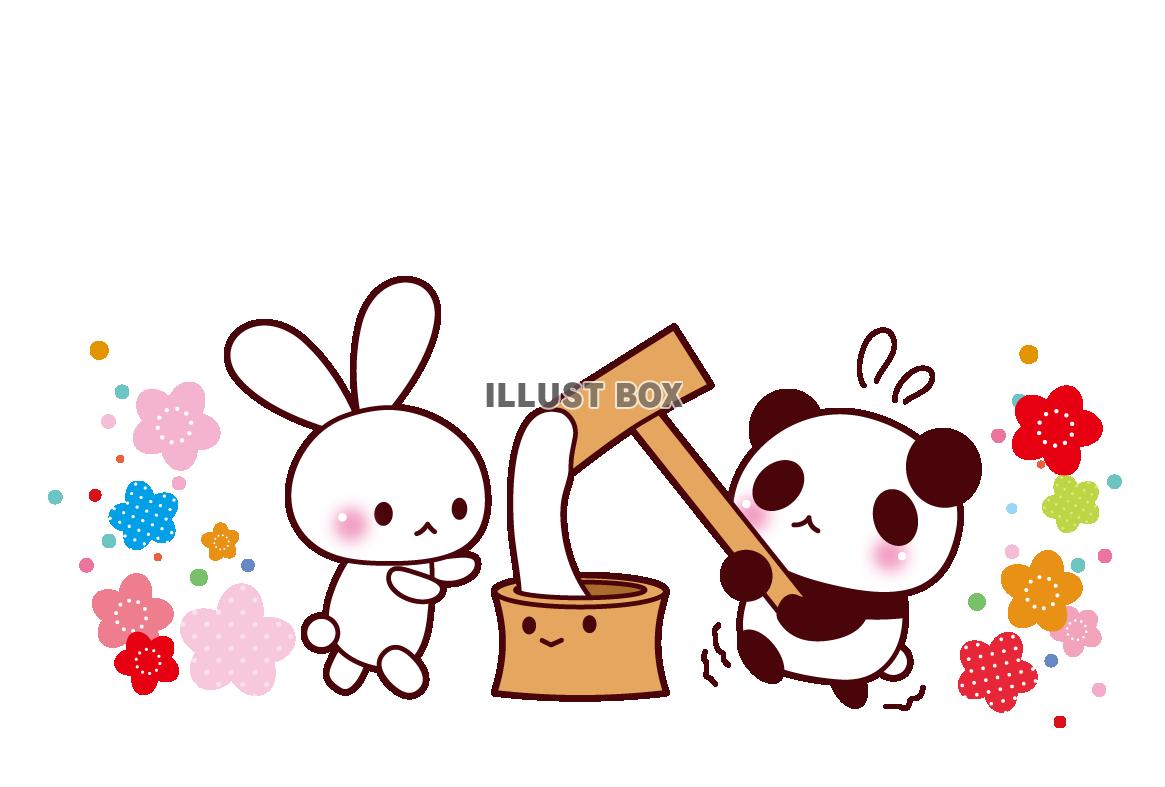 うさぎ写真投稿「お正月のベストショット」USAKURA