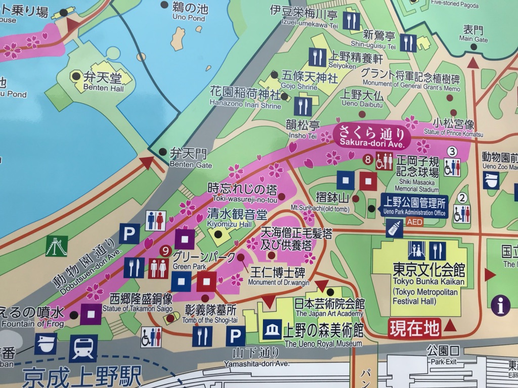 上野公園花見2025場所取りﾙｰﾙや屋台情報,ﾗｲﾄｱｯﾌﾟいつまで？私、ふじこ