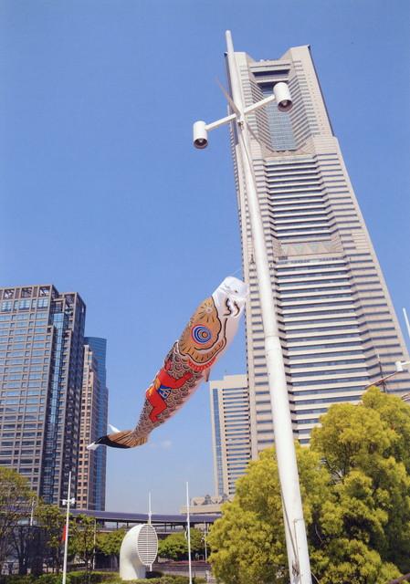 ≪写真・動画掲載中！≫ このイベントは終了しました4月29日 火 ～5月5日 月 開催 鯉のぼり谷渡しが開催されます！ - すもうよ緑区