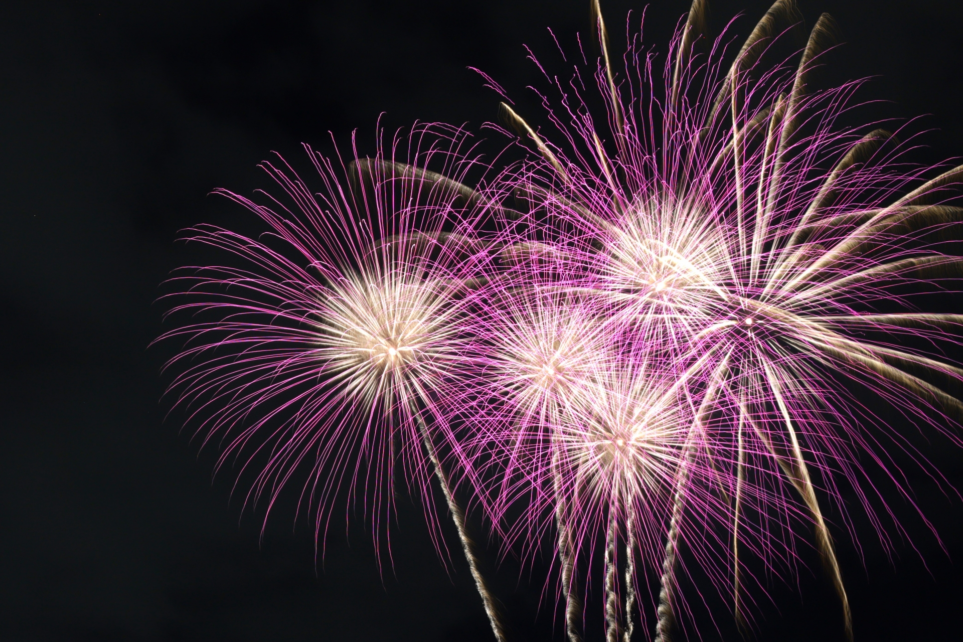 サザンビーチちがさき花火大会2025の屋台・穴場・アクセス完全ガイド！混雑回避の裏ワザも紹介 – 生活お役立ちブログ