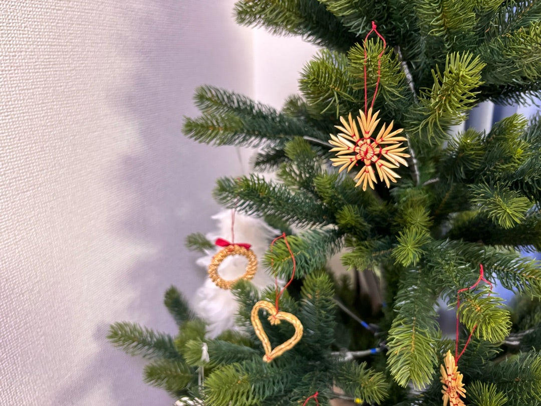 クリスマスツリーモミの木IKEAの本物のモミの木でクリスマスツリー 2021