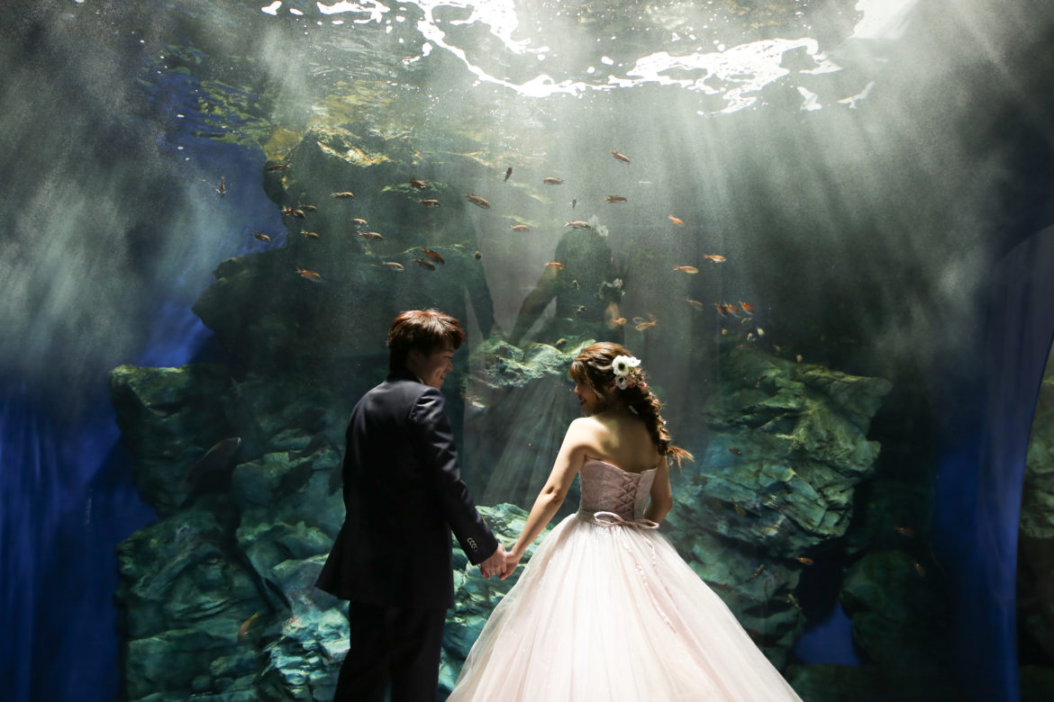 マリンワールド海の中道フォトウェディング・前撮りに人気のロケーションスポット福岡・九州でフォトウェディング・前撮りならウェディング セレクト！フォトウェディング