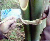 組紐」のアイデア 15 件組紐, 飾り紐, アジアンノット