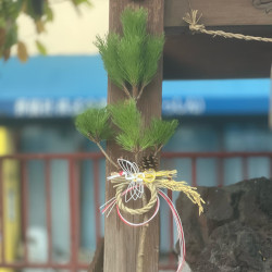 年末の贈り物にも。モダンな部屋にも似合う根引松の松飾りGardenStoryガーデンストーリー