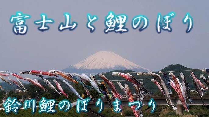 こいのぼり：800匹、大空を悠々と 群馬・神流川