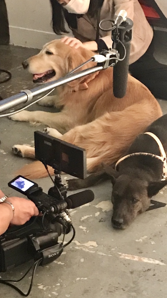 坂上忍さんが“愛息”筑波サンタくんと平塚コウタくんと登場！Numero TOKYO