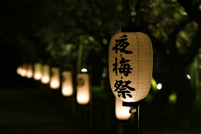 偕楽園 UME The Lights 提灯フォトスポット偕楽園UME The Lightsでは、梅林や竹林のライトアップ のほか、水戸の伝統工芸品である提灯がたくさん飾られていて、偕楽園の風景がさらに幻想的に演出されています✨こちらは、梅林から好文亭に向かう階段と、「芝前門」です