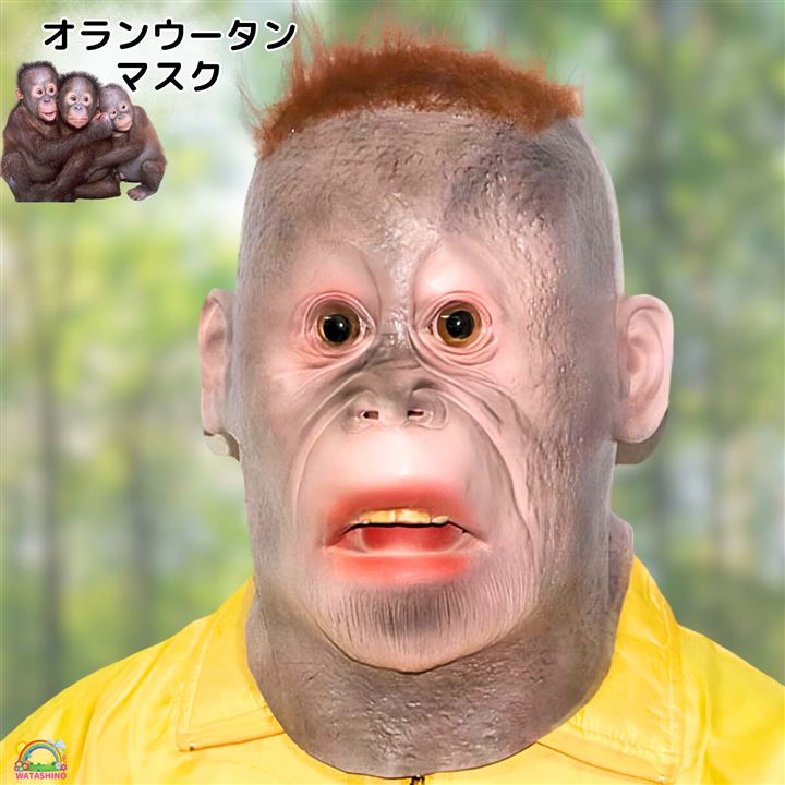 面白い仮装・アイディア仮装！大人用で安いハロウィンおもしろコスプレランキング 1ページ Ｇランキング