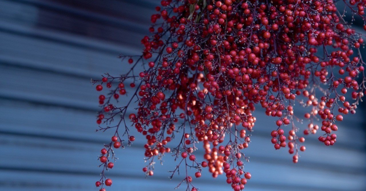 お正月飾りの赤い実「南天」をかわいく！ - おうちで手づくり